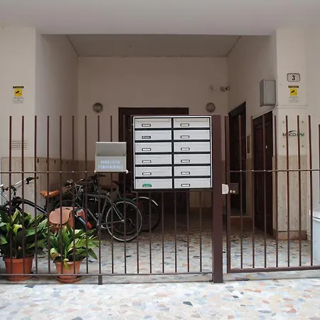 Dreaming 3* 维罗纳